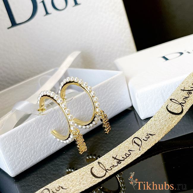 Dior 21 Earrings 01 - 1