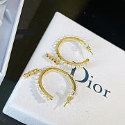Dior 21 Earrings 01 - 6