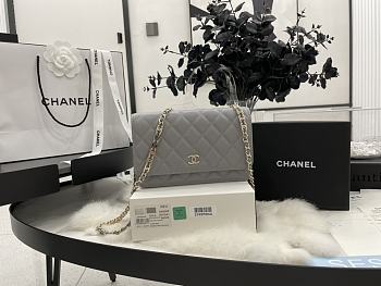 Chanel WOC CC Chain Gray Lambskin A68060 Size 19.2 x 12.3 x 3.5 cm