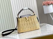 LV Capucines Python Skin M48865 Size 27 x 20 x 9cm - 1