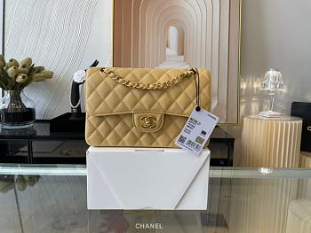 Chanel Caviar Double Flap Bag Dark Beige GHW Size 23 cm