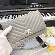 Chanel WOC 80983 V Gray GHW - 1