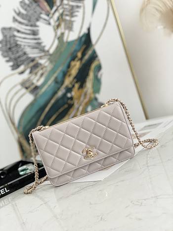 Chanel WOC 88633 Gray GHW Size 19 cm