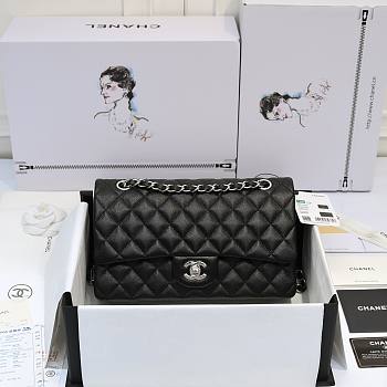 Chanel 2008 Version Double Flap Bag Caviar Silver Hardware Size 25 cm