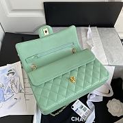 Chanel Flap Bag Lambskin in Light Green GHW 1112 Size 25.5 x 15.5 x 6.5 cm - 4