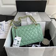 Chanel Flap Bag Lambskin in Light Green GHW 1112 Size 25.5 x 15.5 x 6.5 cm - 3