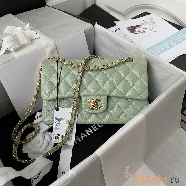 Chanel Flap Bag Caviar in Light Green 23cm with Gold Hardware A01113 - 1