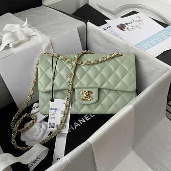 Chanel Flap Bag Caviar in Light Green 23cm with Gold Hardware A01113