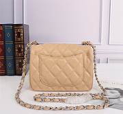Chanel Mini Flap Bag Beige Silver Hardware Size 17 cm - 6