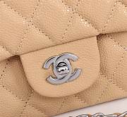 Chanel Mini Flap Bag Beige Silver Hardware Size 17 cm - 2