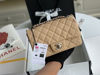 Chanel Mini Flap Bag Silver-tone Metal Caviar Leather Beige Size 20cm