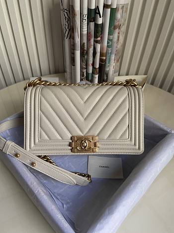 Chanel Leboy Grain Calfskin White Gold Hardware 67086 Size 25 cm