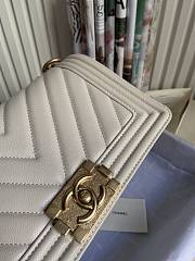 Chanel Leboy Grain Calfskin White Gold Hardware 67086 Size 25 cm - 3