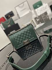 Chanel Leboy Calfskin Green Silver Hardware 67085 Size 20 cm - 1
