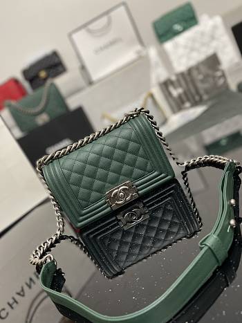 Chanel Leboy Calfskin Green Silver Hardware 67085 Size 20 cm