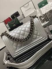 Chanel Leboy Calfskin Silver Hardware 67085 Size 20 cm - 2