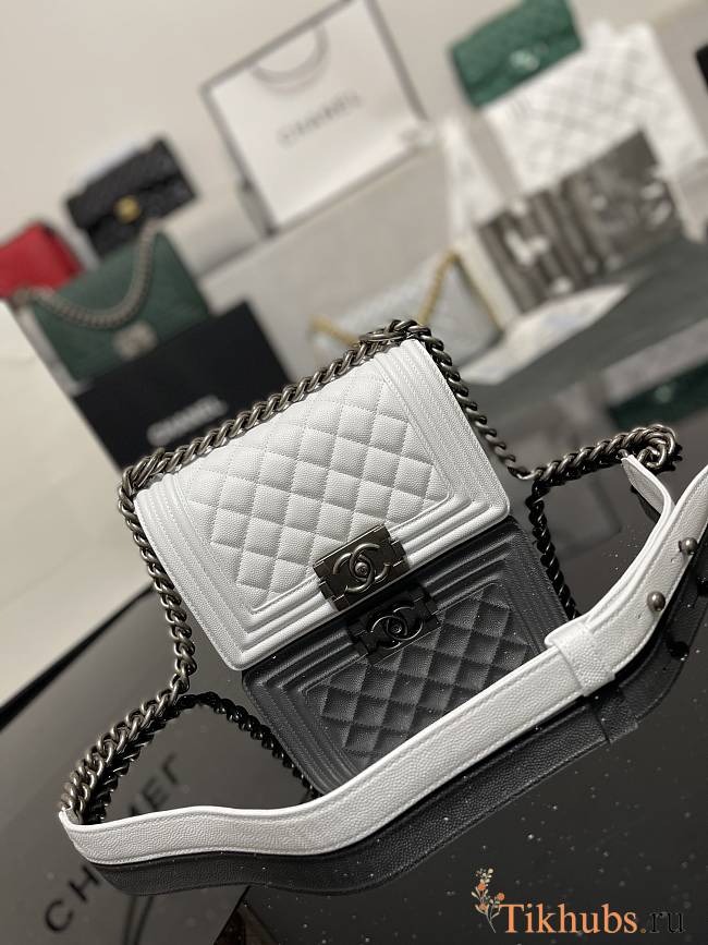 Chanel Leboy Calfskin White Silver Hardware 67085 Size 20 cm - 1