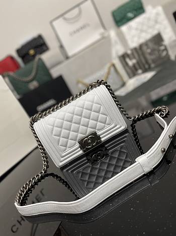 Chanel Leboy Calfskin White Silver Hardware 67085 Size 20 cm