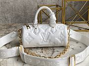 LV Speedy Papillon BB White Size 20 x 10 x 10 cm - 1