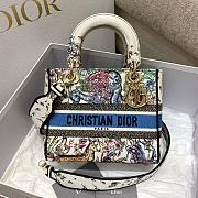 Dior Lady D-lite Latte Multicolor Embroidery 24cm - 1