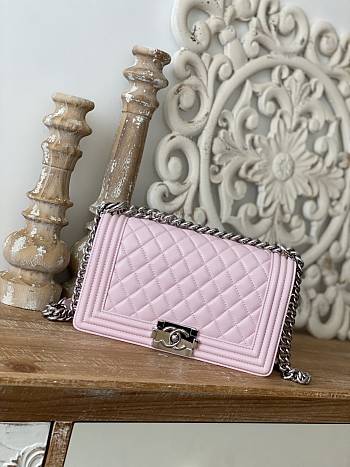 Chanel Leboy Grain Calfskin Light Pink Silver Hardware 25cm