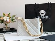 Chanel Summer Hobo Underarm White Bag 19x16x8cm - 6
