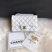 Chanel Flap Bag Caviar in White 20cm with Gold Hardware - 1