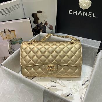 Chanel Flap Bag Lambskin Gold Color GHW 1112 Size 25 cm