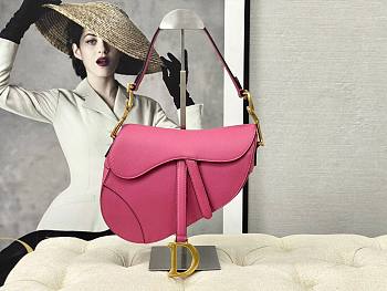 Dior Saddle Pink 25x6x20cm