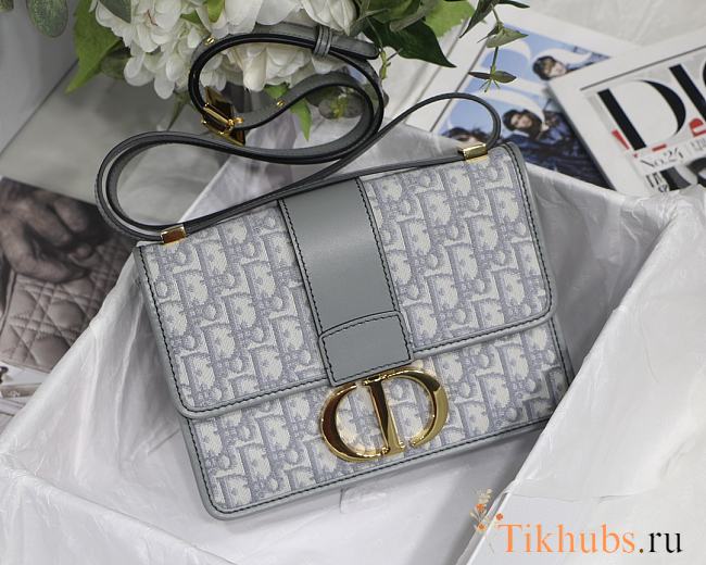 Dior Montaigne Gray Oblique Jacquard Gold Hardware 24x17x8cm - 1