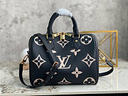 LV Speedy Black White 25x19x15cm - 1