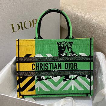 Dior Medium Book Tote Yellow And Green 36x18x28cm