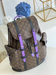 Louis Vuiiton LV Backpack Christopher MM 38x44x21cm - 5