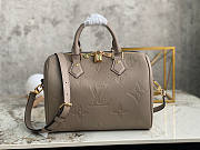 Louis Vuiiton LV Speedy Tourterelle 25x19x15cm - 1