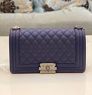 Chanel leboy Cavier Silver Purple HW 25cm - 1