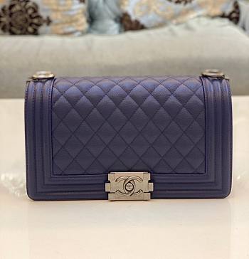 Chanel leboy Cavier Silver Purple HW 25cm