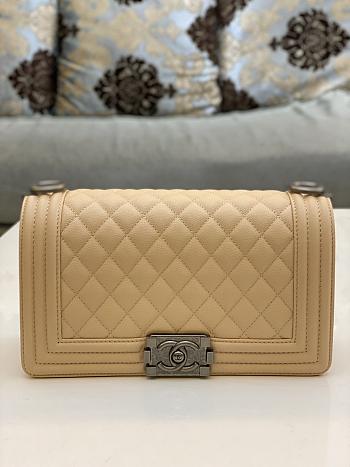 Chanel Leboy Cavier Silver HW Beige 25cm