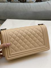 Chanel Leboy Cavier Silver HW Beige 25cm - 5