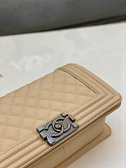 Chanel Leboy Cavier Silver HW Beige 25cm - 4