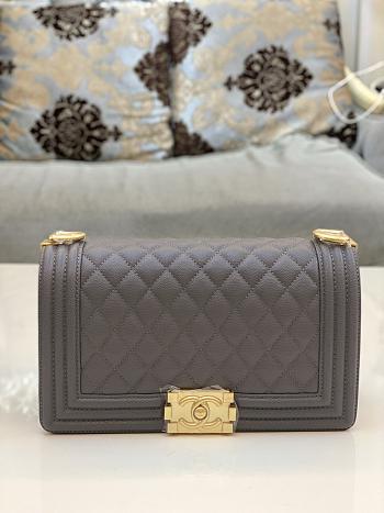 Chanel Leboy Bag Cavier Gold Hardware Gray 25cm