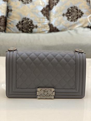 Chanel Leboy Bag Cavier Silver Hardware Gray 25cm