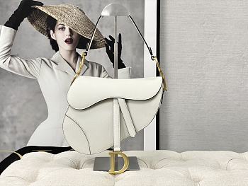 Dior Saddle White Grained Calfskin 25.5 x 20 x 6.5 cm