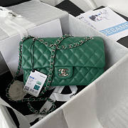 Chanel Flap Bag Medium Green Silver Lambskin 25cm - 1