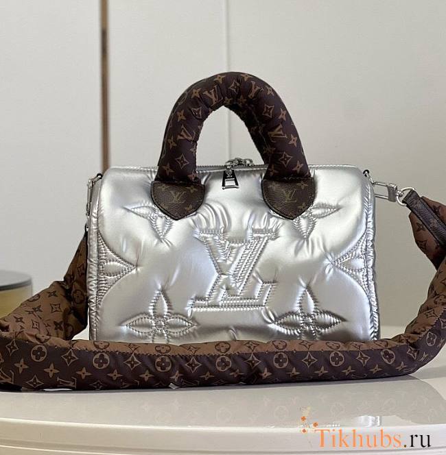 Louis Vuiiton LV Speedy Silver 25 x 19 x 15 cm - 1