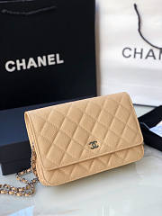 Chanel Chain Wallet Caviar Beige Silver 19x12x13cm - 3