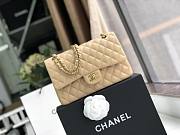 Chanel Flap Bag Lambskin Beige Gold 25cm - 6