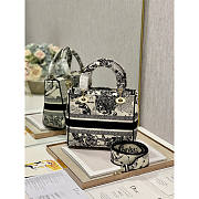 Dior Lady D-lite Black Bag 24x20x11cm - 4