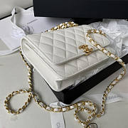 Chanel Wallet On Chain White Caviar Gold 19x12x3.5cm - 5