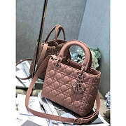 Dior Lady ABC Calfskin Ultra 24x20x11cm - 4