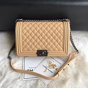 Chanel Leboy Caviar Beige Silver 28cm - 1